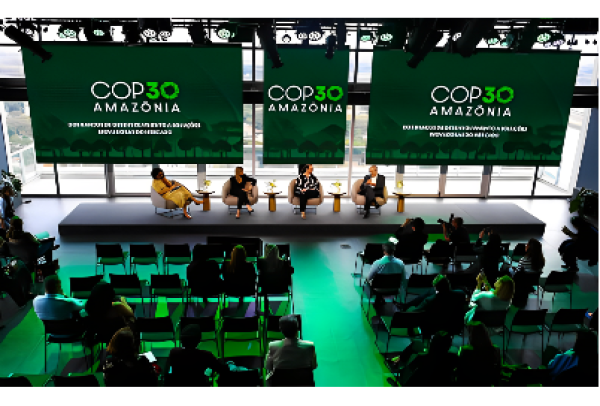 Fundo de Descarbonização é apresentado em seminário de financiamento climático promovido pela Editora Globo