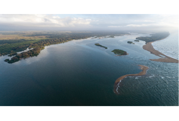Samarco realiza repasse de R$ 278 milhões para o financiamento do programa de monitoramento da biodiversidade aquática na Bacia do Rio Doce