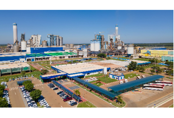 Suzano zera envio de resíduos a aterros industriais e transforma material em insumos agrícolas em Três Lagoas (MS)