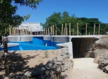 Novo tanque de tartarugas em Vitória atrairá mais aliados para a conservação marinha