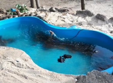 Novo tanque de tartarugas em Vitória