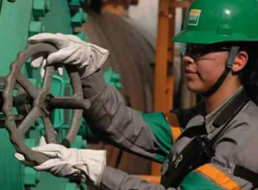 BR Distribuidora abre inscrições para Programa de Estágio em Vitória