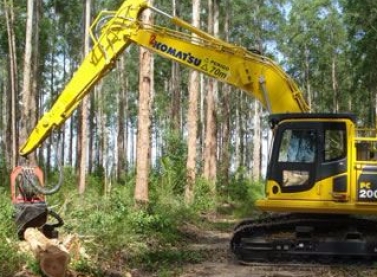 Excelência operacional e mais conforto para os operadores com novas máquinas para a colheita do eucalipto na Fibria