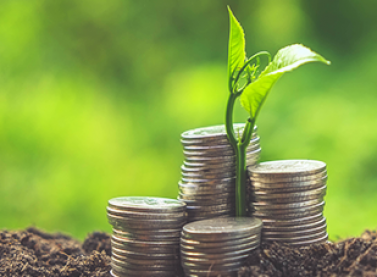 Fibria encerra 2016 com crescimento de vendas, forte lucro líquido e robusta posição de caixa