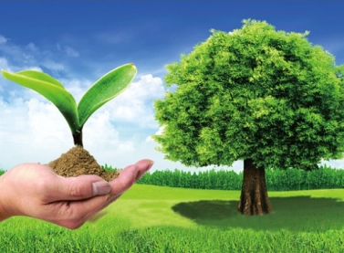 ISA seleciona, até o 21/10, projetos para iniciativa de preservação ambiental