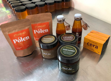 Indígenas de Aracruz passam a vender mel e derivados pela internet