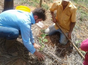 Mais de 30 mil mudas começam a ser plantadas nas nascentes do Rio Doce