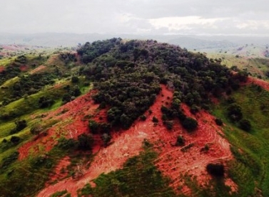 Pesquisadores da UFMG e da UFV se juntam à Fundação Renova nas ações de recuperação de APPS