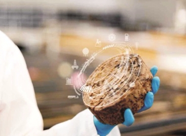 Petrobras divulga Relatório de Sustentabilidade 2016