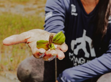 Petrobras divulga resultado de seleção pública para projetos socioambientais