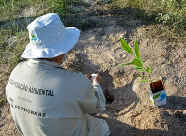 Petrobras prorroga inscrições para seleção pública de projetos socioambientais