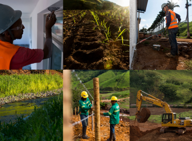 Fundação assume a continuidade das ações de recuperação