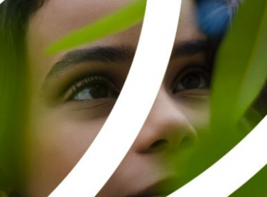 Suzano adere a iniciativa global que propõe a descarbonização da economia mundial