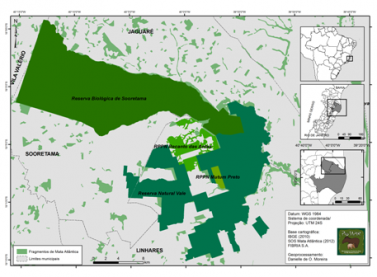 Campanha vai sensibilizar usuários da BR 101 sobre riscos à fauna e flora das reservas Natural Vale e Biológica de Sooretama
