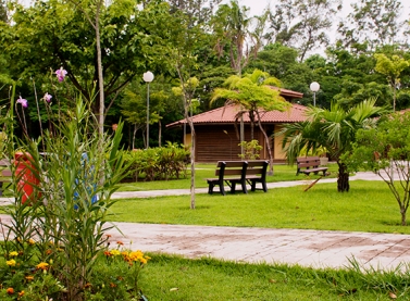 Circuito funcional, aula de alongamento e brincadeiras infantis vão tomar conta do Parque Botânico Vale neste final de semana (8 e 9/4)