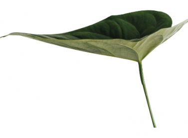 Vale lança desafio que incentiva estudantes a encontrarem soluções inovadoras e sustentáveis