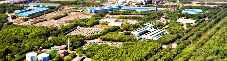 A gestão e o manejo de fauna e flora em debate na ArcelorMittal Tubarão