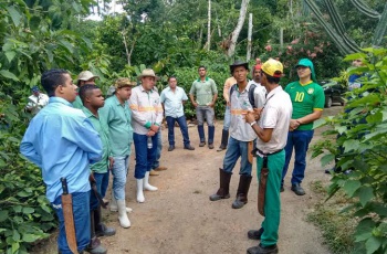 Agricultores familiares do Espírito Santo aprenderão novas práticas agroflorestais com apoio da Fibria