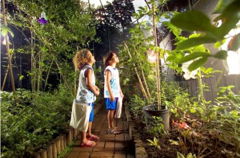 ArcelorMittal Tubarão abre inscrições para visitas à empresa