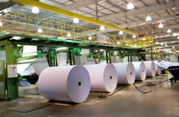 Fibria é a campeã do setor de Papel e Celulose do Anuário “As Melhores da DINHEIRO"