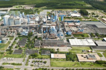 Fibria é escolhida como líder do setor em índices de sustentabilidade da Bolsa de Nova York