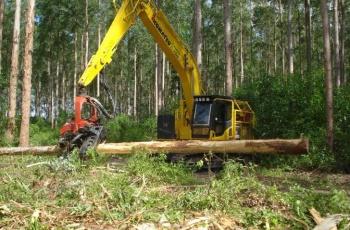 Fibria recebe Prêmio Fetransportes de Qualidade do Ar