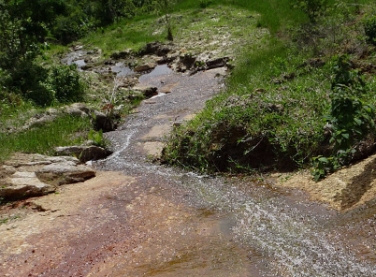 Especial: Onde o Rio Nasce