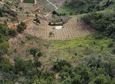 Produtores rurais com propriedades ao longo do Rio Doce poderão receber pagamento por serviços ambientais