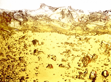 Grupo Executivo de Mercado e Preços da Petrobras faz avaliação de política de preços