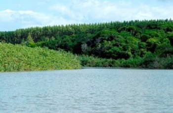 Inscrições abertas para eleição do Comitê da Bacia do Rio Itaúnas