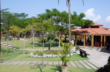 Natureza em quadrinhos: obra infantil “O Jardim Mágico de Gerê” será lançada neste domingo (6)