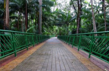 Parque Botânico Vale abre inscrições para coro infanto-juvenil