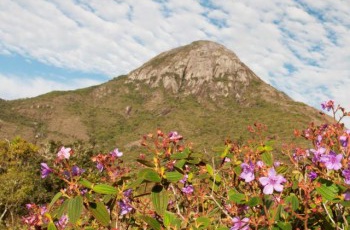 Parque do Forno Grande volta a abrir todos os dias para visitação