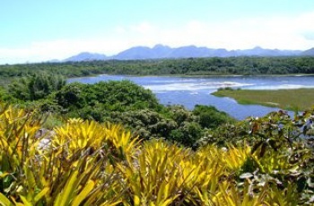 Parques estaduais comemoram a Semana do Meio Ambiente