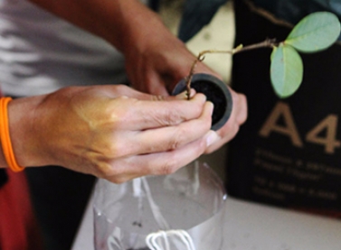 Jovens participantes do projeto Plantando pelo Planeta realizarão primeiro plantio de mudas nativas em Mariana