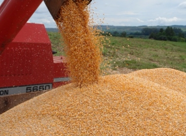 Porto de Vitória retoma operação integrada com ferrovia