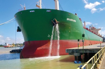 Portocel atinge a marca de 90 milhões de toneladas de celulose