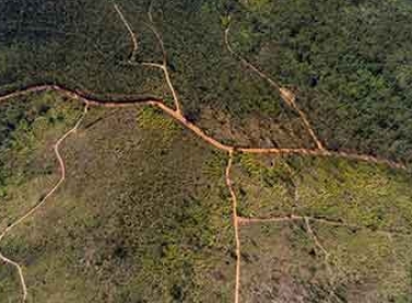 Projeto de Lei que permite urbanização do terreno para reassentamento de Bento Rodrigues é sancionado