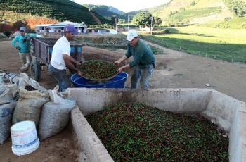 Samarco recebe prêmio internacional com o Programa de Capacitação do Produtor Rural