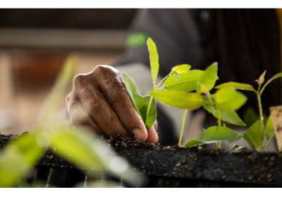 Suzano lança plataforma para impulsionar vendas de parceiros especializados em materiais de escritório