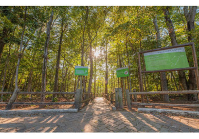 Parque Botânico Vale terá programação alinhada com objetivos da OMS no Dia Mundial da Saúde