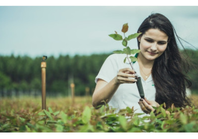 Suzano destaca melhorias socioambientais com metas concretas e impacto positivo no meio ambiente