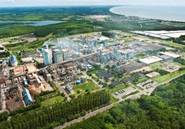 Fibria divulga Relatório 2016 apresentando sua estratégia de gerar e compartilhar valor