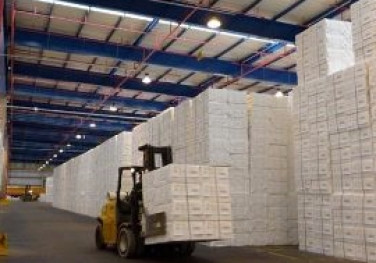 Fibria fecha o primeiro trimestre com lucro líquido de R$ 329 milhões e margem Ebitda de 37%