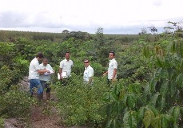 Fibria implanta mais de 5 mil hectares de áreas protegidas no Espírito Santo