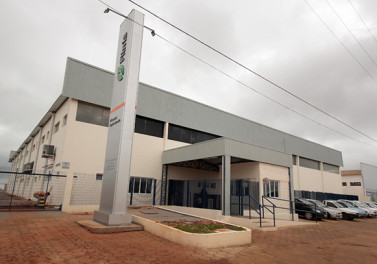 Fibria incentiva o múltiplo uso da floresta plantada com a criação de gado em Capão Bonito (SP)