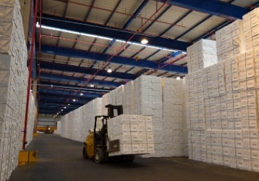 Fibria encerra terceiro trimestre com aumento de 11% na produção