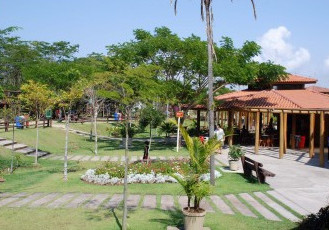 Natureza em quadrinhos: obra infantil “O Jardim Mágico de Gerê” será lançada neste domingo (6)