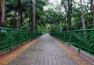 Parque Botânico Vale abre inscrições para coro infanto-juvenil