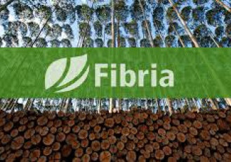 Professores de escolas municipais de Aracruz receberam diploma de multiplicadores ambientais